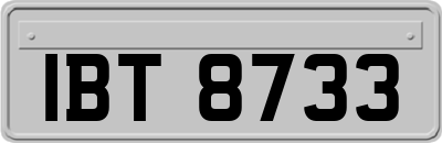 IBT8733