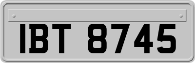 IBT8745