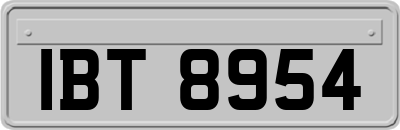 IBT8954
