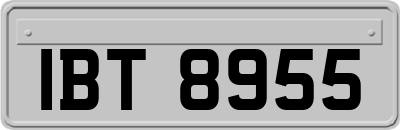 IBT8955