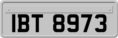 IBT8973