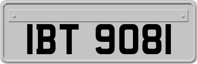 IBT9081