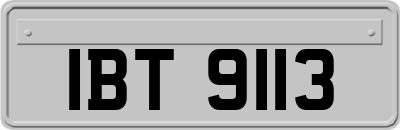 IBT9113