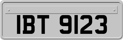 IBT9123