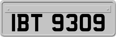 IBT9309