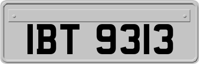 IBT9313