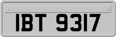IBT9317