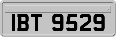 IBT9529
