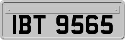 IBT9565