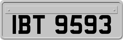 IBT9593