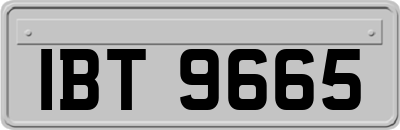 IBT9665