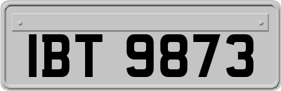 IBT9873