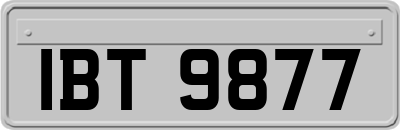 IBT9877