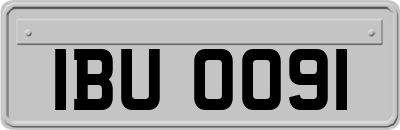 IBU0091