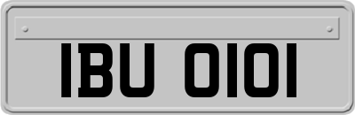 IBU0101