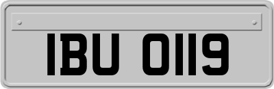 IBU0119
