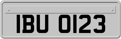 IBU0123