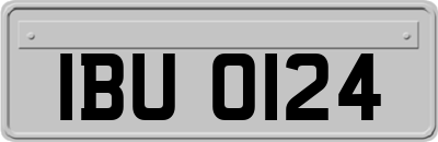IBU0124