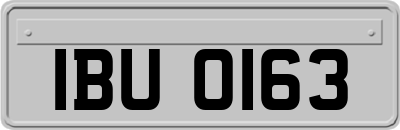 IBU0163
