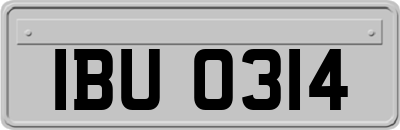 IBU0314
