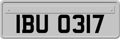 IBU0317