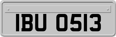 IBU0513
