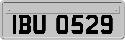 IBU0529