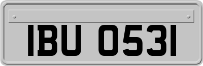 IBU0531