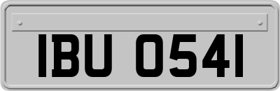 IBU0541