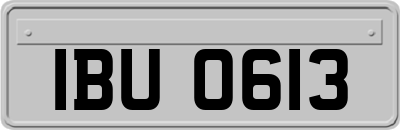 IBU0613