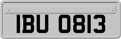 IBU0813