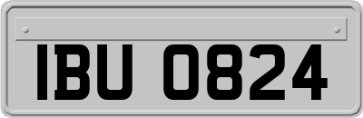 IBU0824