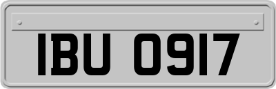 IBU0917