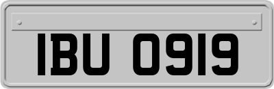 IBU0919