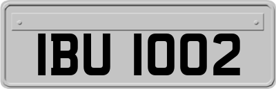 IBU1002