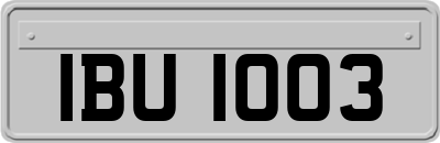 IBU1003