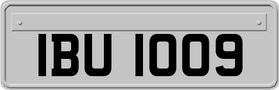 IBU1009