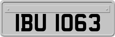 IBU1063