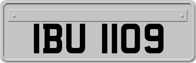 IBU1109