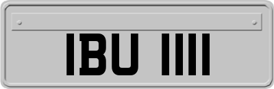 IBU1111
