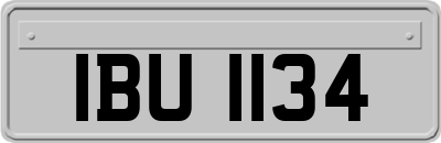 IBU1134