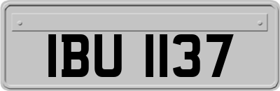 IBU1137