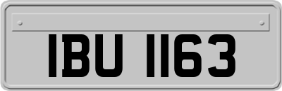 IBU1163