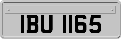 IBU1165