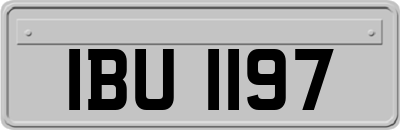 IBU1197