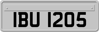 IBU1205