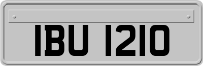 IBU1210