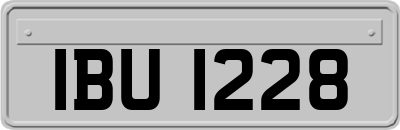 IBU1228