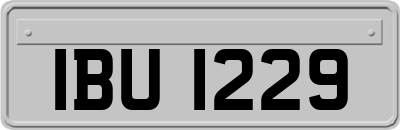 IBU1229