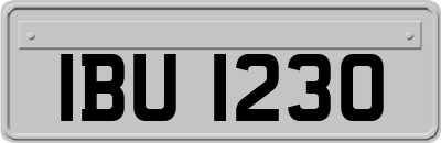 IBU1230